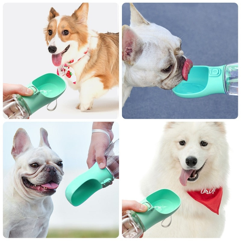 Bebedor Portátil de Água para Pets